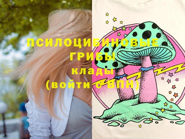 ешки Дмитриев