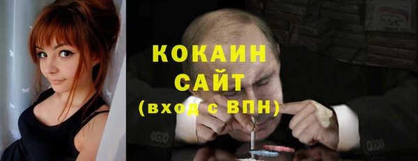 ешки Дмитриев