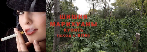 ешки Дмитриев