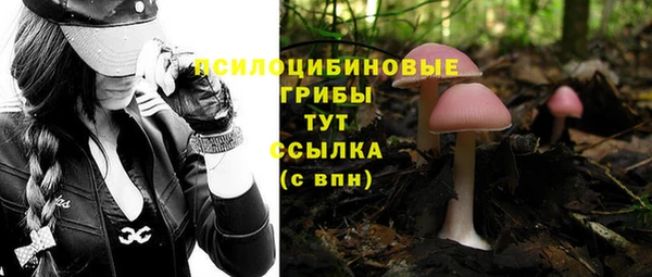 кокаин колумбия Ельня