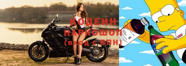 ешки Дмитриев