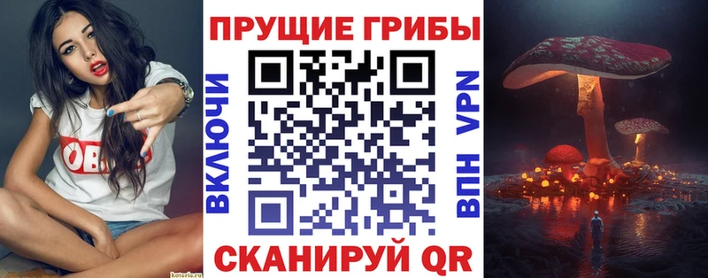 Псилоцибиновые грибы MAGIC MUSHROOMS мега Камышин продажа наркотиков
